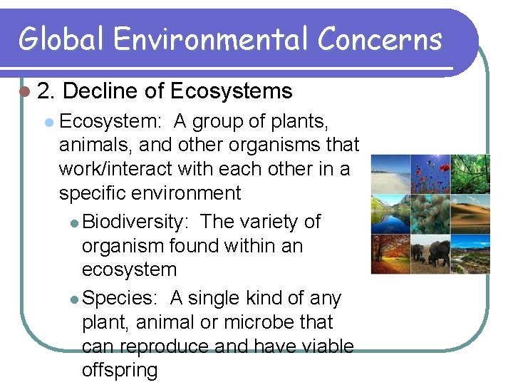 Global Environmental Concerns l 2. l Decline of Ecosystems Ecosystem: A group of plants,