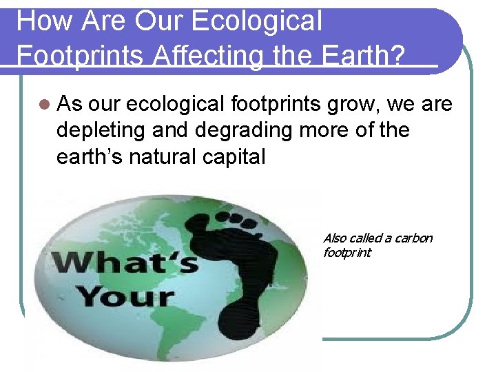 How Are Our Ecological Footprints Affecting the Earth? l As our ecological footprints grow,