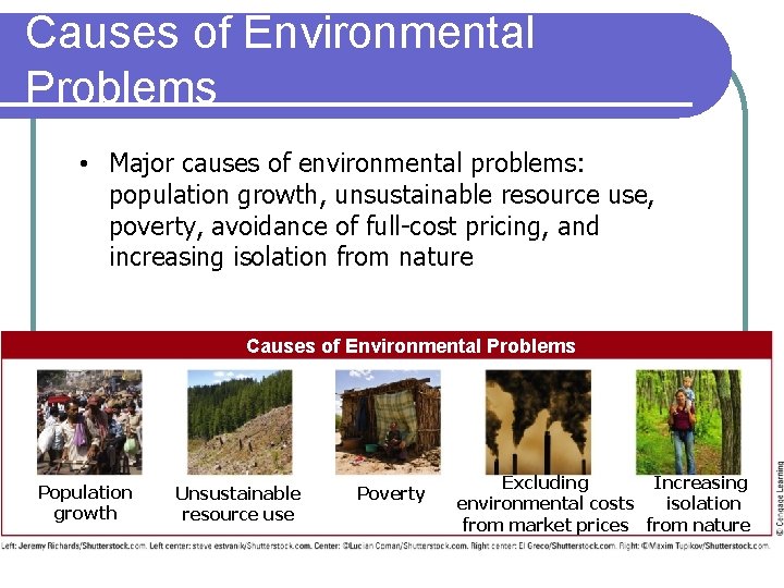 Causes of Environmental Problems • Major causes of environmental problems: population growth, unsustainable resource