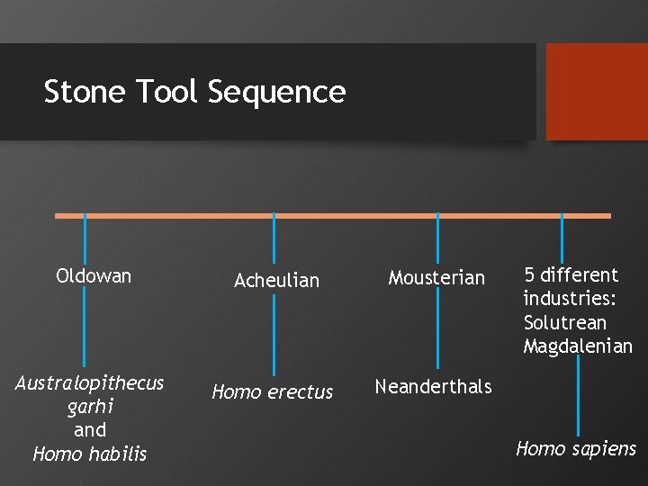 Stone Tool Sequence Oldowan Acheulian Mousterian Australopithecus garhi and Homo habilis Homo erectus Neanderthals