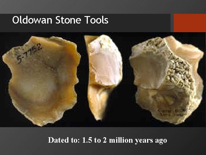 Oldowan Stone Tools Dated to: 1. 5 to 2 million years ago 