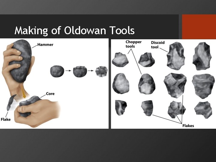 Making of Oldowan Tools 