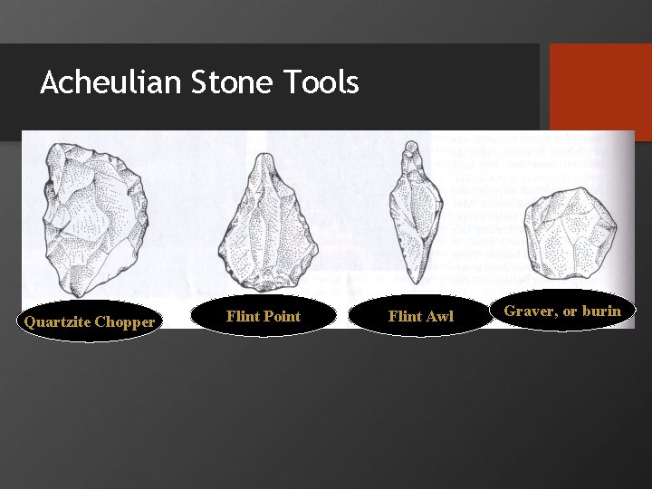Acheulian Stone Tools Quartzite Chopper Flint Point Flint Awl Graver, or burin 
