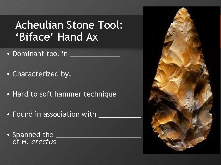 Acheulian Stone Tool: ‘Biface’ Hand Ax • Dominant tool in _______ • Characterized by: