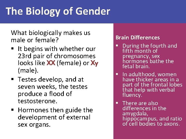 The Biology of Gender What biologically makes us male or female? § It begins