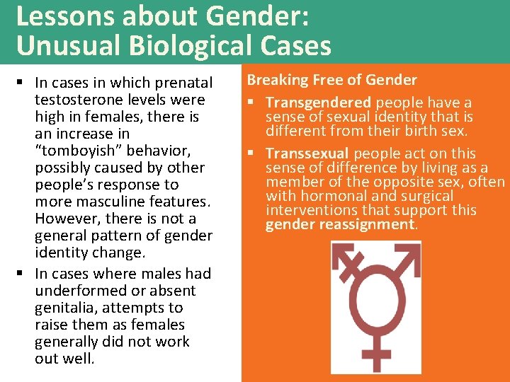 Lessons about Gender: Unusual Biological Cases § In cases in which prenatal testosterone levels