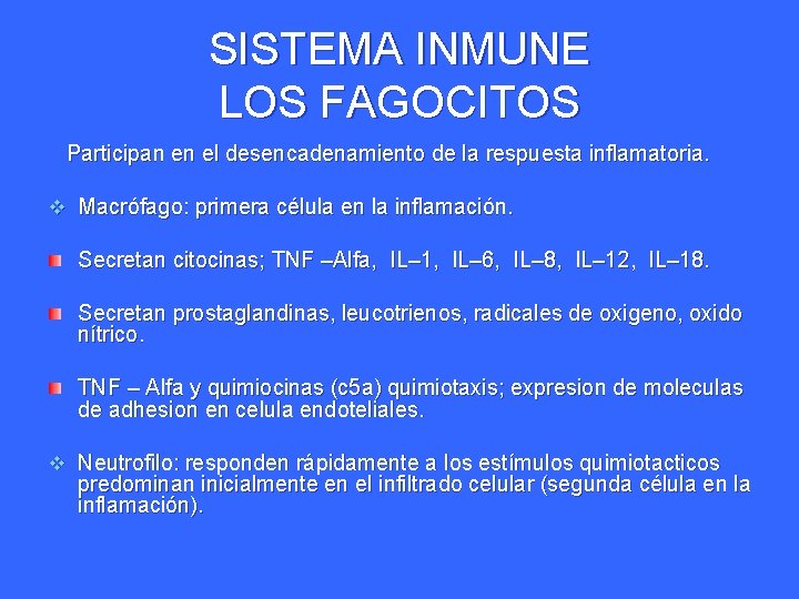 SISTEMA INMUNE LOS FAGOCITOS Participan en el desencadenamiento de la respuesta inflamatoria. v Macrófago: SISTEMA INMUNE LOS FAGOCITOS Participan en el desencadenamiento de la respuesta inflamatoria. v Macrófago: