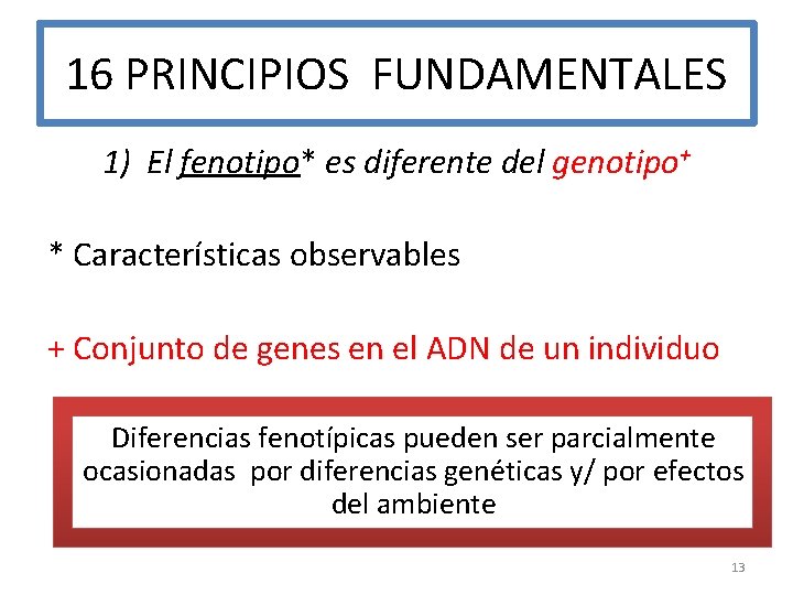 16 PRINCIPIOS FUNDAMENTALES 1) El fenotipo* es diferente del genotipo+ * Características observables +