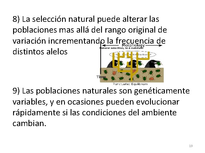 8) La selección natural puede alterar las poblaciones mas allá del rango original de