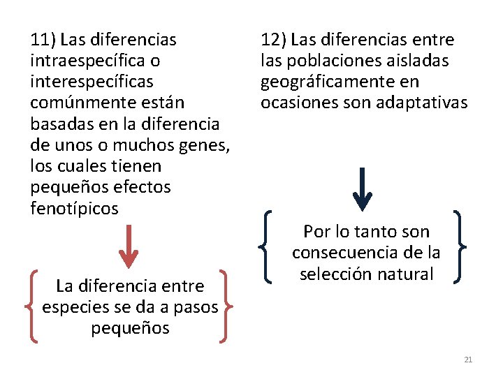 11) Las diferencias intraespecífica o interespecíficas comúnmente están basadas en la diferencia de unos