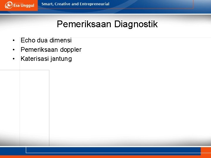 Pemeriksaan Diagnostik • Echo dua dimensi • Pemeriksaan doppler • Katerisasi jantung 