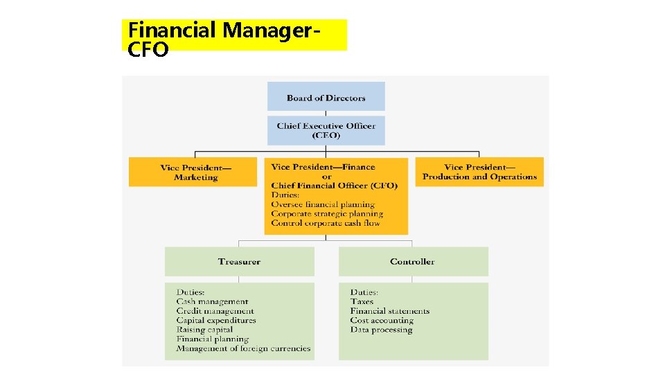 Financial Manager. CFO 