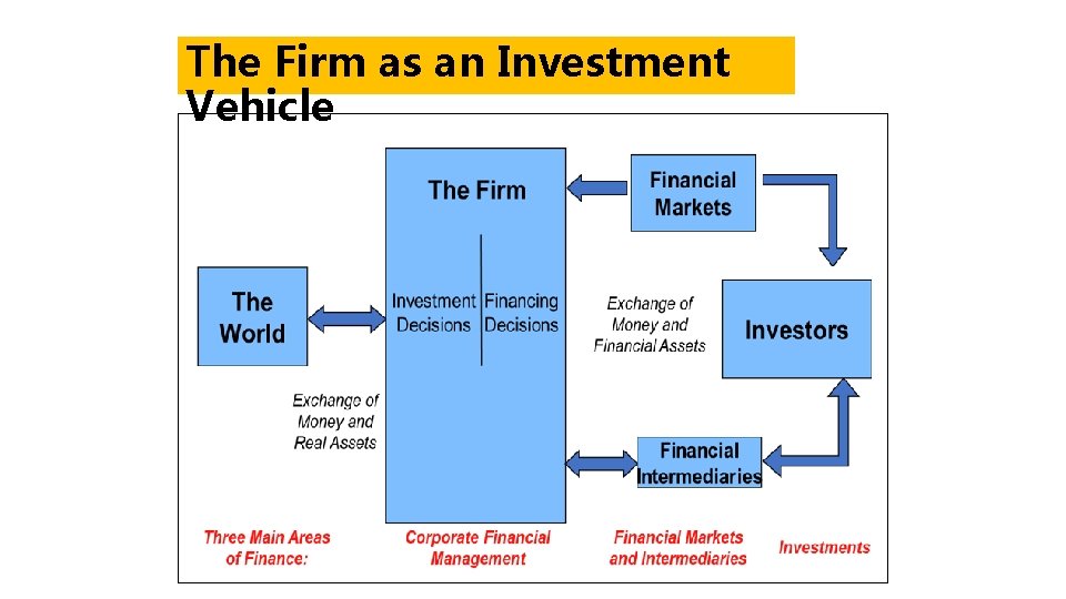 The Firm as an Investment Vehicle 