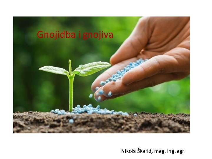 Gnojidba i gnojiva Nikola Škarid, mag. ing. agr. 