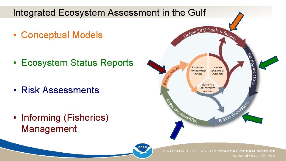 Integrated Ecosystem Assessment in the Gulf • Conceptual Models • Ecosystem Status Reports •