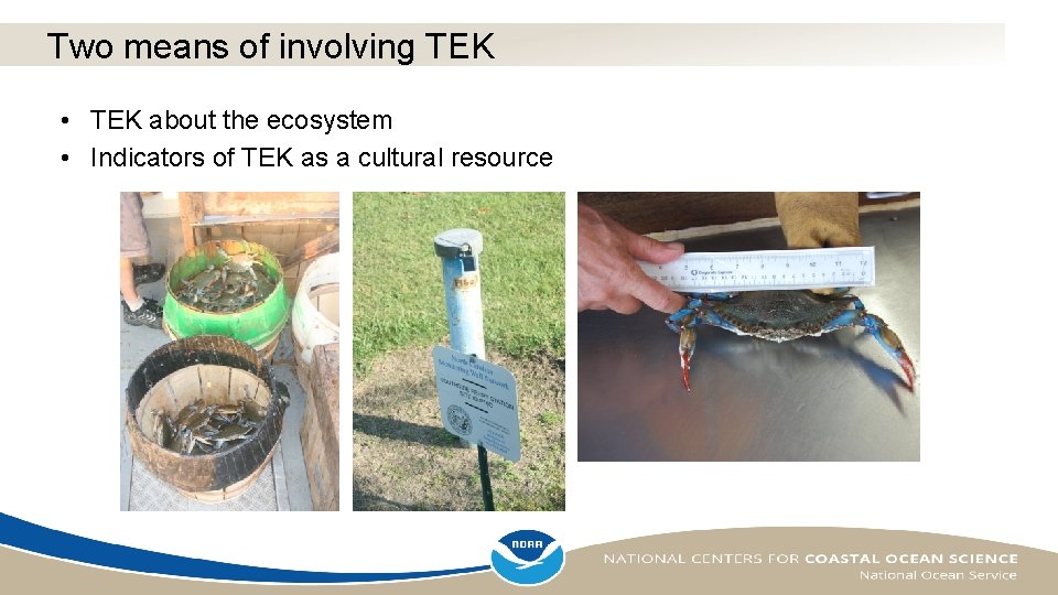 Two means of involving TEK • TEK about the ecosystem • Indicators of TEK