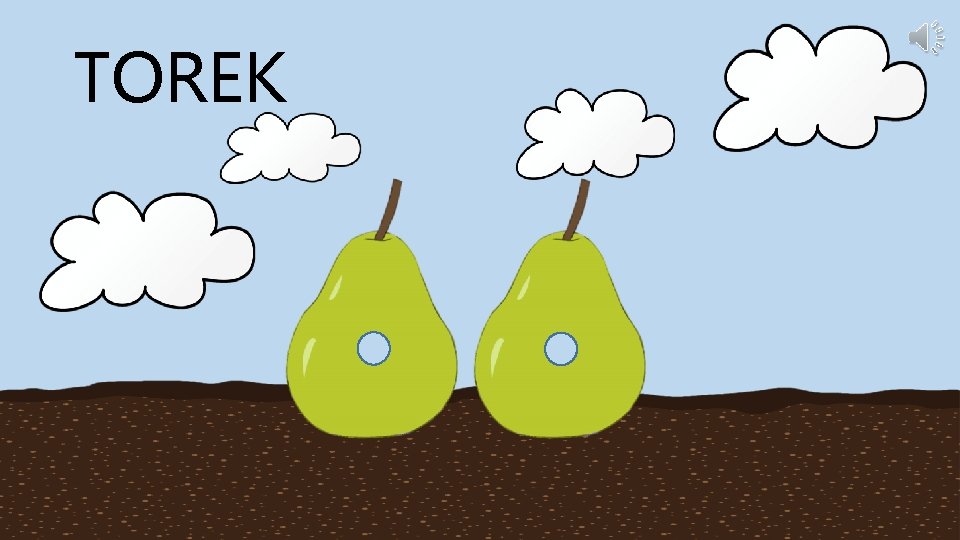 TOREK 