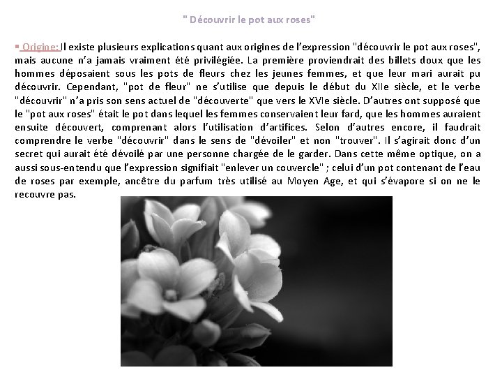 " Découvrir le pot aux roses" § Origine: Il existe plusieurs explications quant aux