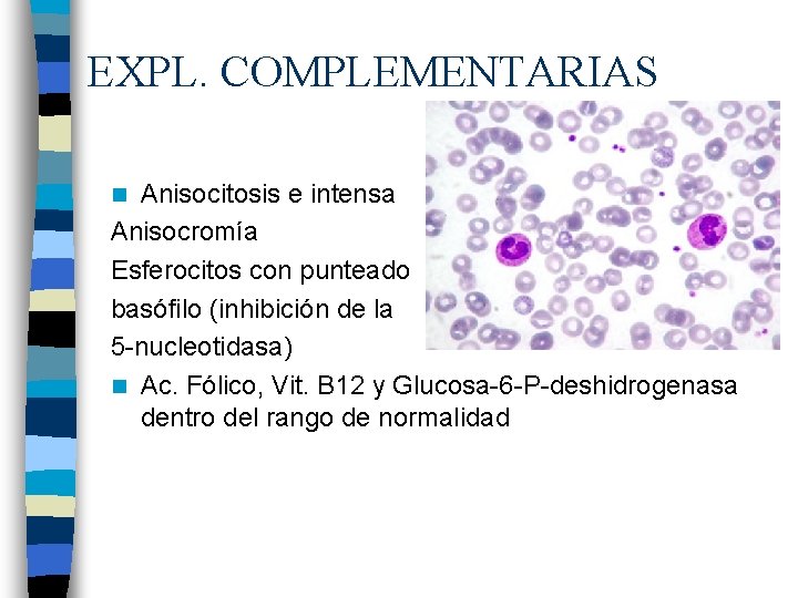 EXPL. COMPLEMENTARIAS Anisocitosis e intensa Anisocromía Esferocitos con punteado basófilo (inhibición de la 5