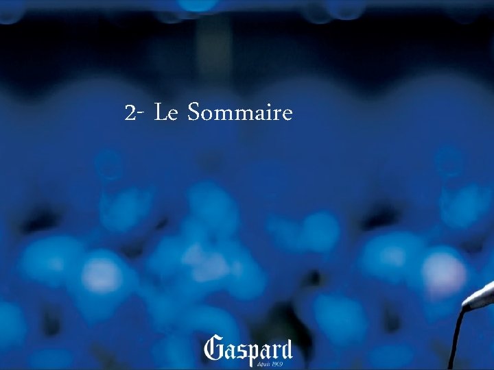2 - Le Sommaire 