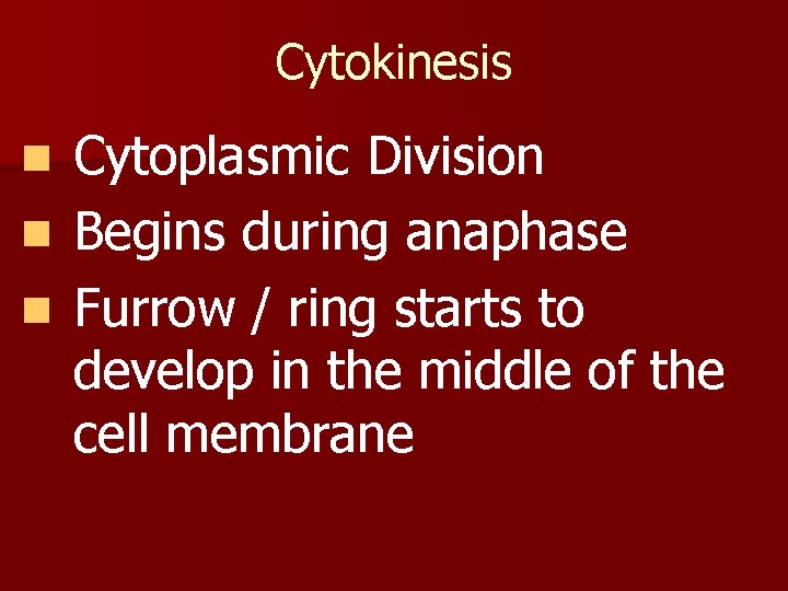 Cytokinesis Cytoplasmic Division n Begins during anaphase n Furrow / ring starts to develop Cytokinesis Cytoplasmic Division n Begins during anaphase n Furrow / ring starts to develop