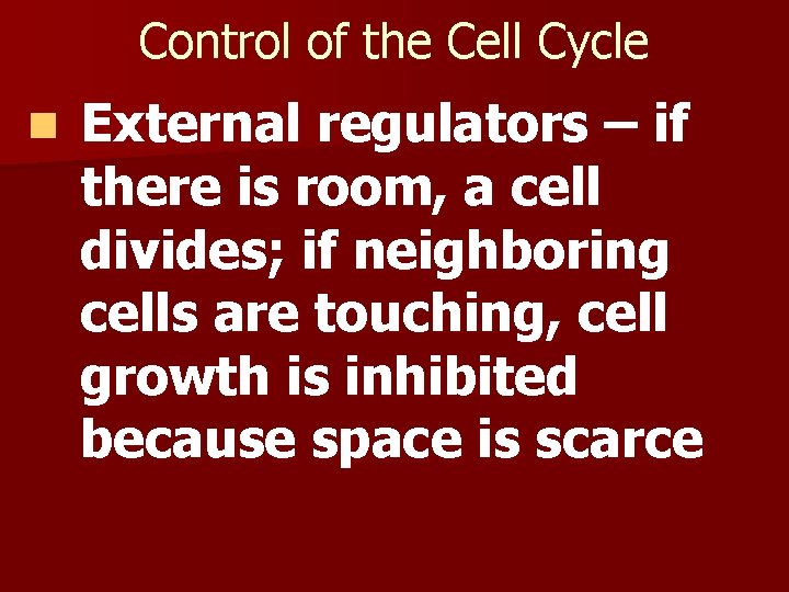 Control of the Cell Cycle n External regulators – if there is room, a Control of the Cell Cycle n External regulators – if there is room, a
