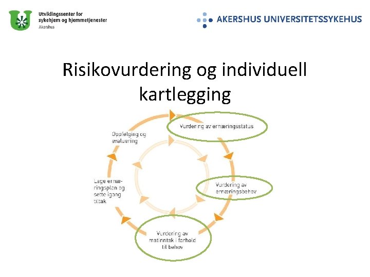 Risikovurdering og individuell kartlegging 