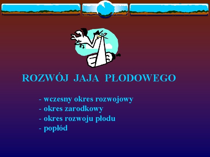 ROZWÓJ JAJA PŁODOWEGO - wczesny okres rozwojowy - okres zarodkowy - okres rozwoju płodu