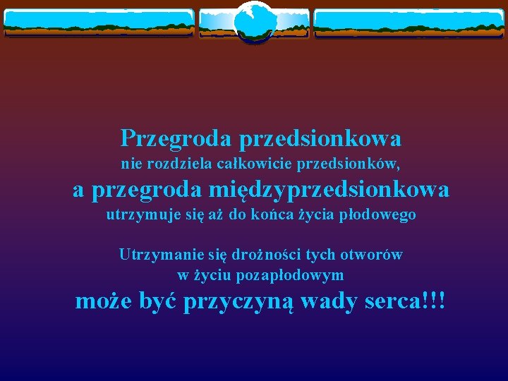 Przegroda przedsionkowa nie rozdziela całkowicie przedsionków, a przegroda międzyprzedsionkowa utrzymuje się aż do końca