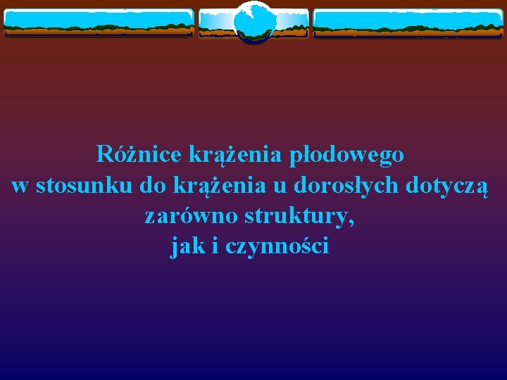 Różnice krążenia płodowego w stosunku do krążenia u dorosłych dotyczą zarówno struktury, jak i