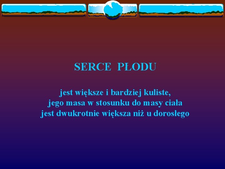 SERCE PŁODU jest większe i bardziej kuliste, jego masa w stosunku do masy ciała