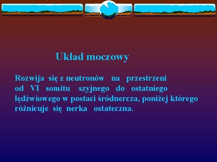 Układ moczowy Rozwija się z neutronów na przestrzeni od VI somitu szyjnego do ostatniego