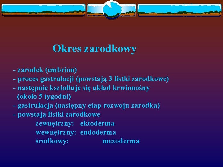 Okres zarodkowy - zarodek (embrion) - proces gastrulacji (powstają 3 listki zarodkowe) - następnie