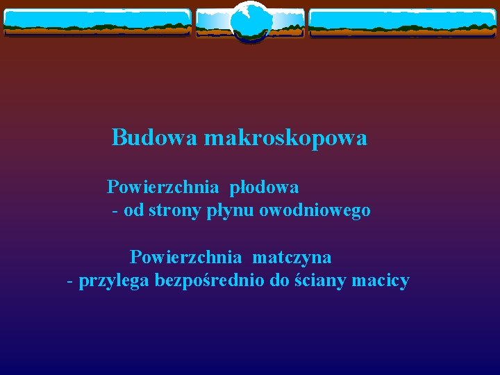 Budowa makroskopowa Powierzchnia płodowa - od strony płynu owodniowego Powierzchnia matczyna - przylega bezpośrednio