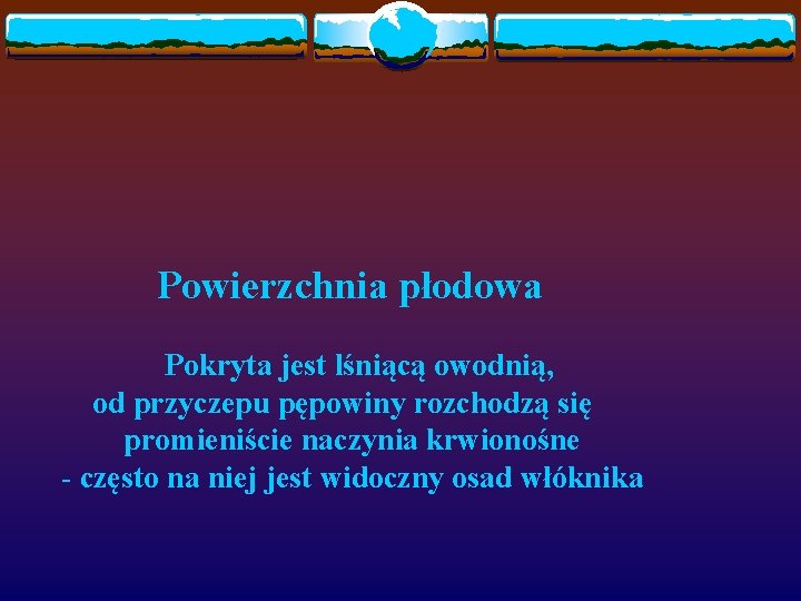 Powierzchnia płodowa Pokryta jest lśniącą owodnią, od przyczepu pępowiny rozchodzą się promieniście naczynia krwionośne