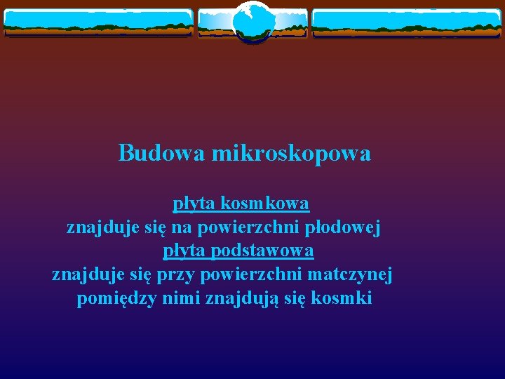 Budowa mikroskopowa płyta kosmkowa znajduje się na powierzchni płodowej płyta podstawowa znajduje się przy