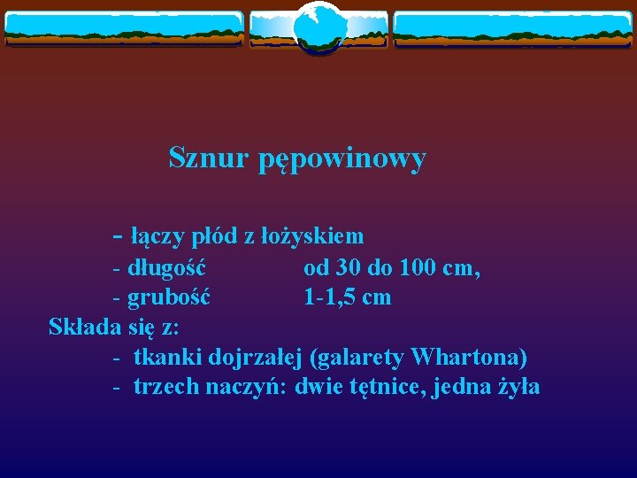 Sznur pępowinowy - łączy płód z łożyskiem - długość od 30 do 100 cm,