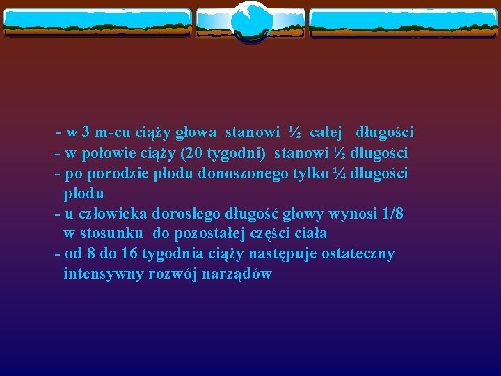 - w 3 m-cu ciąży głowa stanowi ½ całej długości - w połowie ciąży