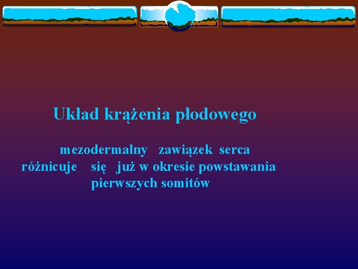 Układ krążenia płodowego mezodermalny zawiązek serca różnicuje się już w okresie powstawania pierwszych somitów