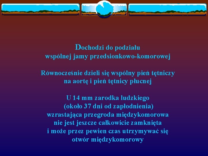 Dochodzi do podziału wspólnej jamy przedsionkowo-komorowej Równocześnie dzieli się wspólny pień tętniczy na aortę