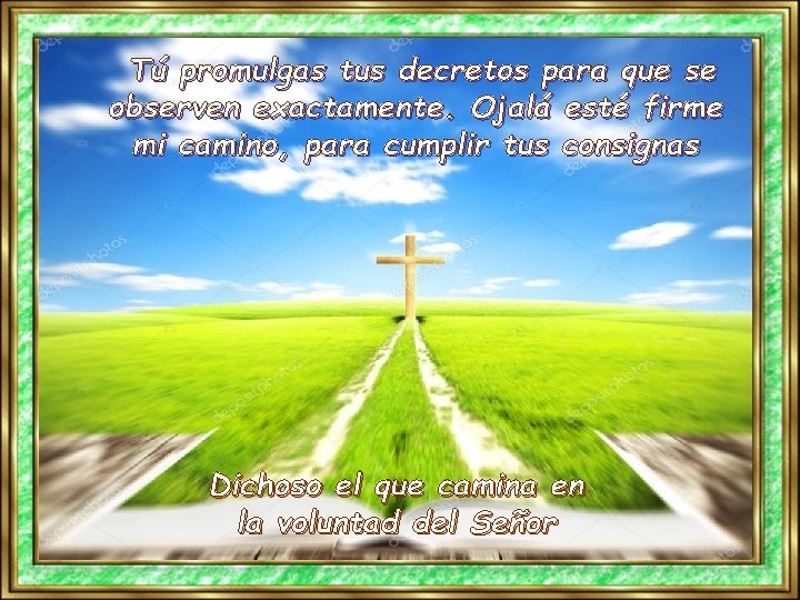 Tú promulgas tus decretos para que se observen exactamente. Ojalá esté firme mi camino,