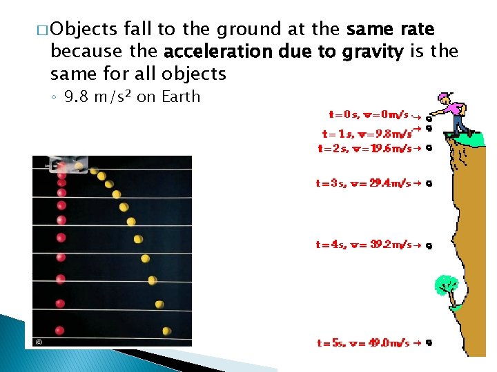 � Objects fall to the ground at the same rate because the acceleration due � Objects fall to the ground at the same rate because the acceleration due