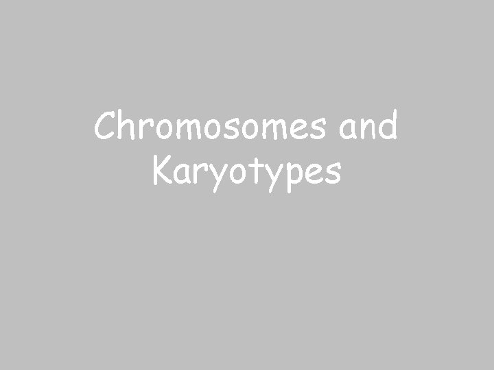 Chromosomes and Karyotypes 