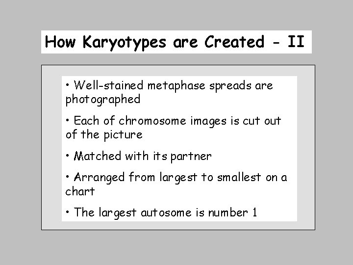 How Karyotypes are Created - II • Well-stained metaphase spreads are photographed • Each