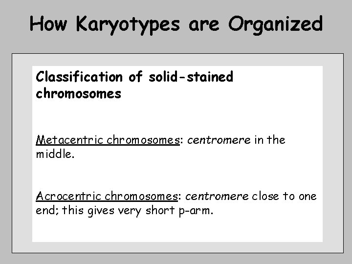 How Karyotypes are Organized Classification of solid-stained chromosomes Metacentric chromosomes: centromere in the middle.