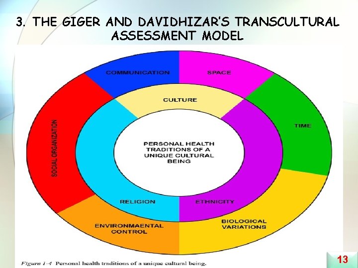 3. THE GIGER AND DAVIDHIZAR’S TRANSCULTURAL ASSESSMENT MODEL 13 