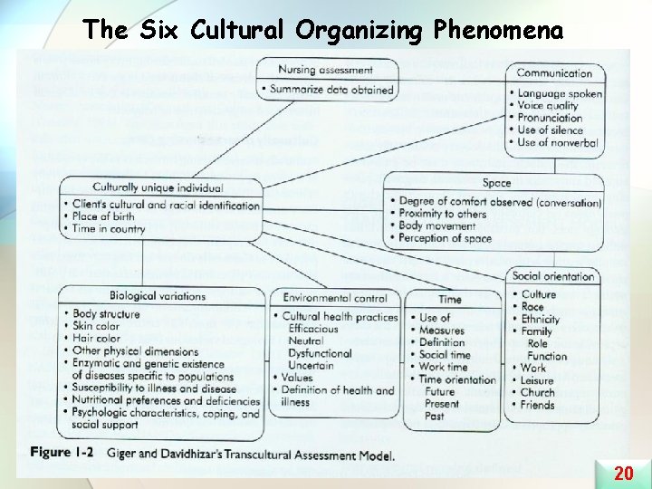 The Six Cultural Organizing Phenomena 20 