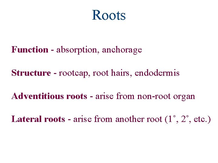 Roots Function - absorption, anchorage Structure - rootcap, root hairs, endodermis Adventitious roots -