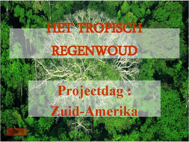 HET TROPISCH REGENWOUD Projectdag : Zuid-Amerika 