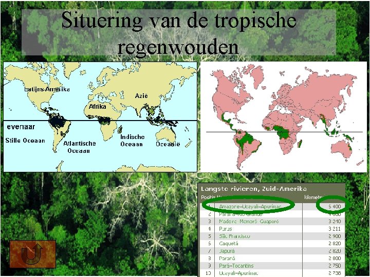 Situering van de tropische regenwouden 